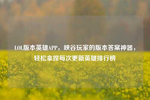 LOL版本英雄APP，峡谷玩家的版本答案神器，轻松拿捏每次更新英雄排行榜