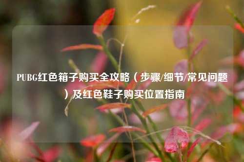 PUBG红色箱子购买全攻略（步骤/细节/常见问题）及红色鞋子购买位置指南