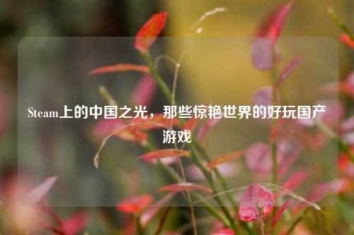 Steam上的中国之光,那些惊艳世界的好玩国产游戏