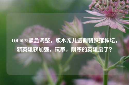 LOL10.23紧急调整，版本宠儿遭削弱跌落神坛，新英雄获加强，玩家，刚练的英雄废了？