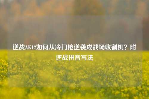 逆战AK12如何从冷门枪逆袭成战场收割机？附逆战拼音写法
