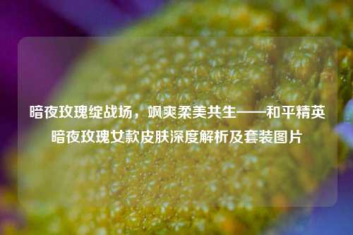 暗夜玫瑰绽战场,飒爽柔美共生——和平精英暗夜玫瑰女款皮肤深度解析及套装图片