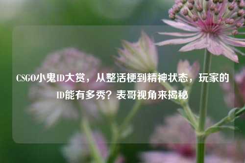 CSGO小鬼ID大赏，从整活梗到精神状态，玩家的ID能有多秀？表哥视角来揭秘