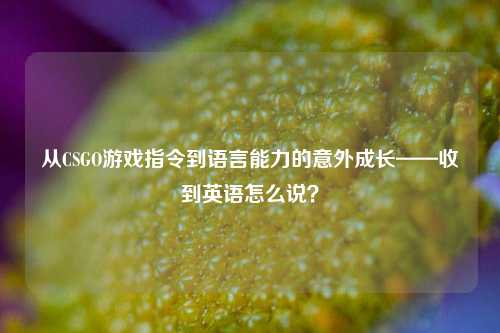 从CSGO游戏指令到语言能力的意外成长——收到英语怎么说？