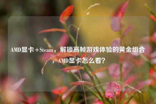 AMD显卡+Steam,解锁高帧游戏体验的黄金组合,AMD显卡怎么看?