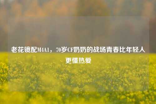 老花镜配M4A1,70岁CF奶奶的战场青春比年轻人更懂热爱