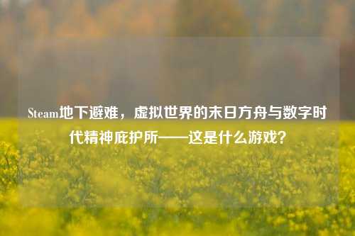 Steam地下避难，虚拟世界的末日方舟与数字时代精神庇护所——这是什么游戏？
