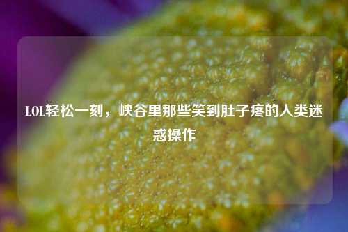 LOL轻松一刻，峡谷里那些笑到肚子疼的人类迷惑操作