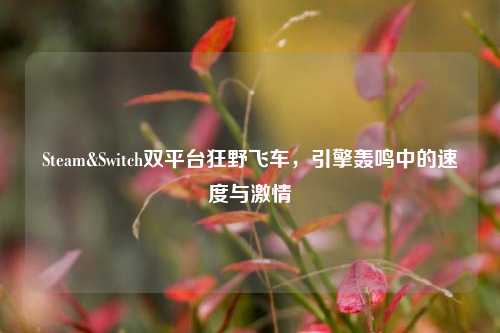 Steam&Switch双平台狂野飞车，引擎轰鸣中的速度与激情