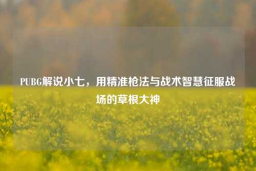 PUBG解说小七,用精准枪法与战术智慧征服战场的草根大神