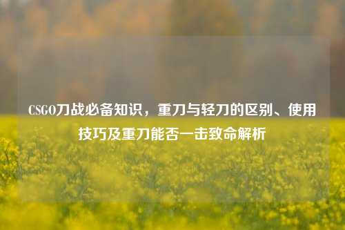 CSGO刀战必备知识,重刀与轻刀的区别、使用技巧及重刀能否一击致命解析