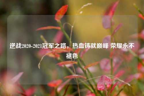 逆战2020-2021冠军之路，热血铸就巅峰 荣耀永不褪色