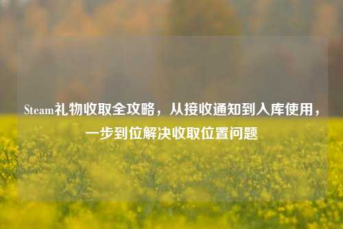 Steam礼物收取全攻略，从接收通知到入库使用，一步到位解决收取位置问题