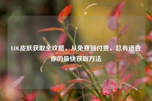 LOL皮肤获取全攻略,从免费到付费,总有适合你的最快获取方法