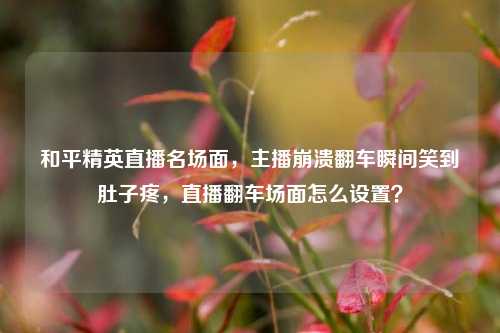 和平精英直播名场面,主播崩溃翻车瞬间笑到肚子疼,直播翻车场面怎么设置?