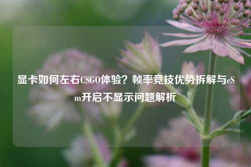 显卡如何左右CSGO体验?帧率竞技优势拆解与cSm开启不显示问题解析