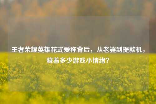 王者荣耀英雄花式爱称背后，从老婆到提款机，藏着多少游戏小情绪？