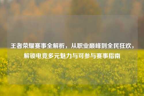王者荣耀赛事全解析，从职业巅峰到全民狂欢，解锁电竞多元魅力与可参与赛事指南
