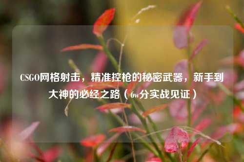 CSGO网格射击，精准控枪的秘密武器，新手到大神的必经之路（6w分实战见证）