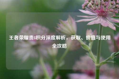 王者荣耀贵8积分深度解析，获取、价值与使用全攻略