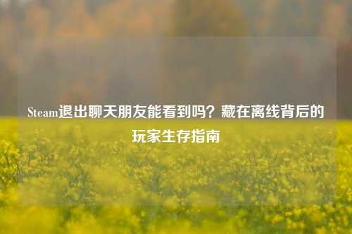 Steam退出聊天朋友能看到吗?藏在离线背后的玩家生存指南