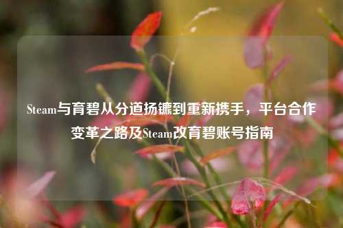 Steam与育碧从分道扬镳到重新携手,平台合作变革之路及Steam改育碧账号指南