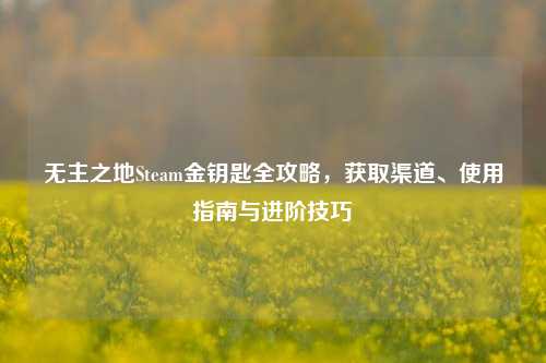 无主之地Steam金钥匙全攻略,获取渠道、使用指南与进阶技巧