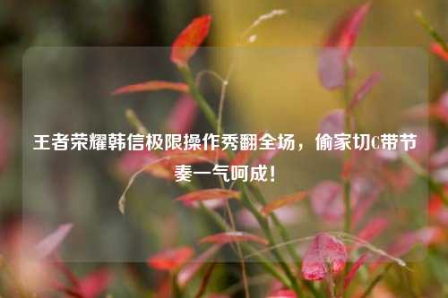 王者荣耀韩信极限操作秀翻全场，偷家切C带节奏一气呵成！