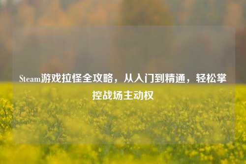 Steam游戏拉怪全攻略,从入门到精通,轻松掌控战场主动权