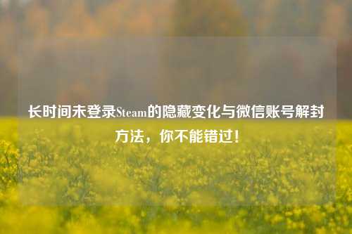 长时间未登录Steam的隐藏变化与微信账号解封方法,你不能错过!