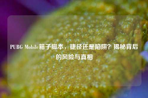 PUBG Mobile箱子脚本，捷径还是陷阱？揭秘背后的风险与真相