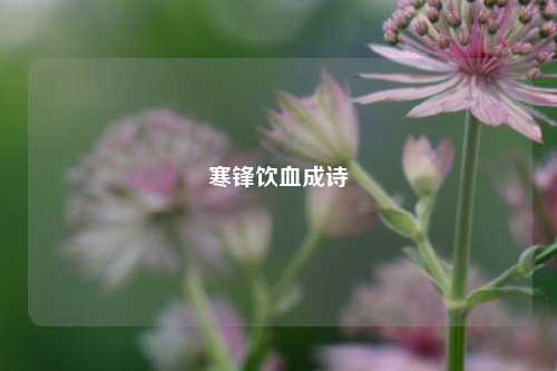 寒锋饮血成诗