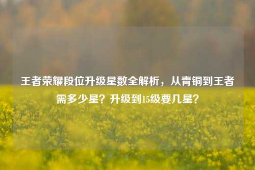 王者荣耀段位升级星数全解析,从青铜到王者需多少星?升级到15级要几星?