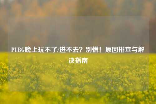 PUBG晚上玩不了/进不去？别慌！原因排查与解决指南