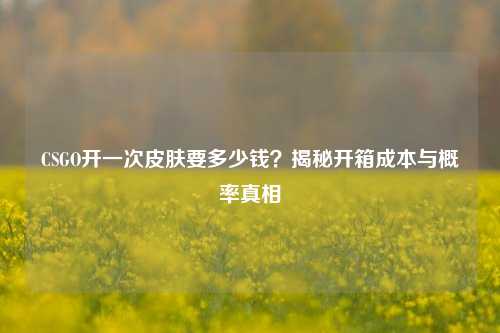 CSGO开一次皮肤要多少钱？揭秘开箱成本与概率真相