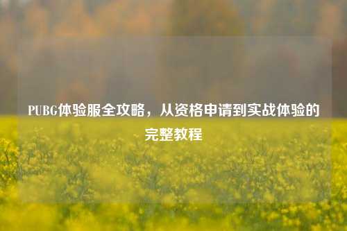 PUBG体验服全攻略，从资格申请到实战体验的完整教程