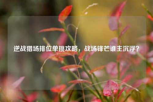 逆战猎场排位单挑攻略，战场锋芒谁主沉浮？