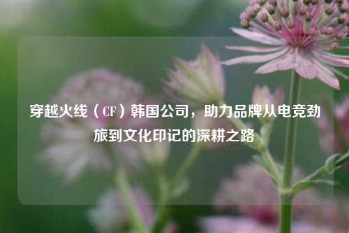 穿越火线（CF）韩国公司，助力品牌从电竞劲旅到文化印记的深耕之路