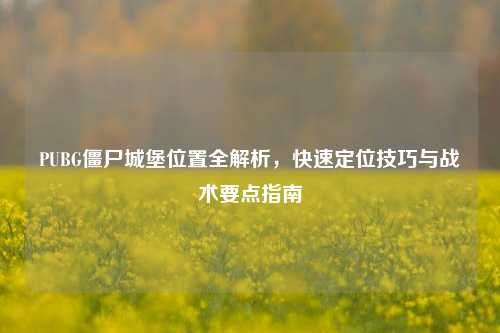 PUBG僵尸城堡位置全解析,快速定位技巧与战术要点指南