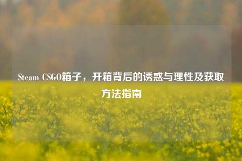 Steam CSGO箱子，开箱背后的诱惑与理性及获取方法指南