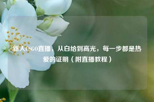 新人CSGO直播，从白给到高光，每一步都是热爱的证明（附直播教程）