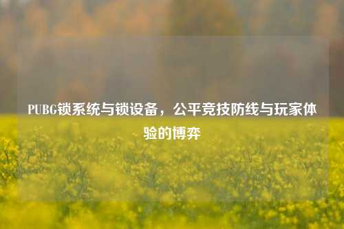 PUBG锁系统与锁设备，公平竞技防线与玩家体验的博弈