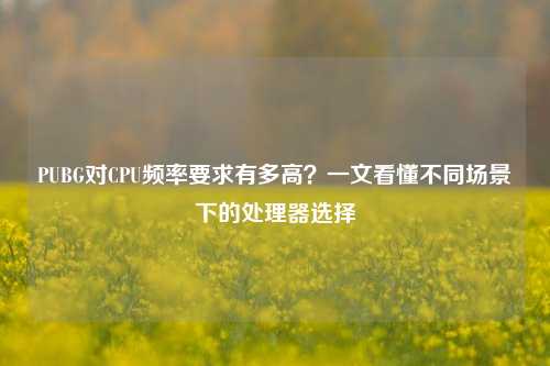 PUBG对CPU频率要求有多高？一文看懂不同场景下的处理器选择