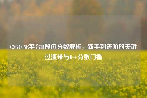 CSGO 5E平台D段位分数解析,新手到进阶的关键过渡带与D+分数门槛