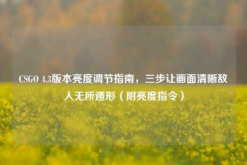 CSGO 4.3版本亮度调节指南,三步让画面清晰敌人无所遁形(附亮度指令)
