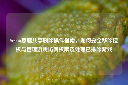 Steam家庭共享删除操作指南,如何安全移除授权与管理游戏访问权限及处理已排除游戏
