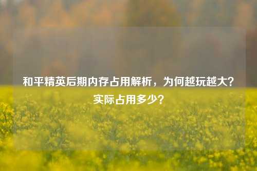 和平精英后期内存占用解析,为何越玩越大?实际占用多少?