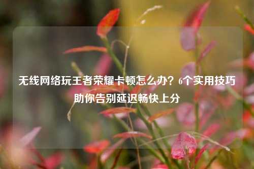 无线网络玩王者荣耀卡顿怎么办?6个实用技巧助你告别延迟畅快上分