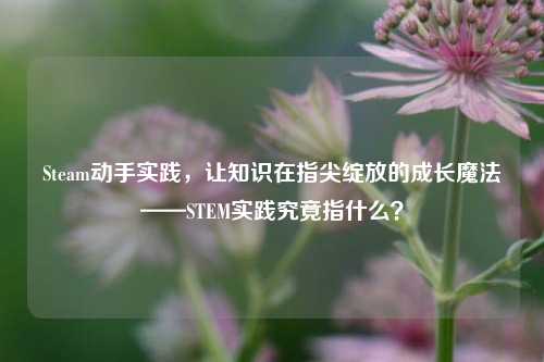 Steam动手实践，让知识在指尖绽放的成长魔法——STEM实践究竟指什么？