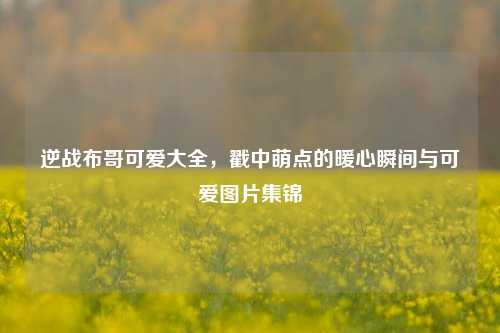 逆战布哥可爱大全,戳中萌点的暖心瞬间与可爱图片集锦
